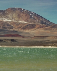 Guardianes del templo